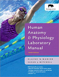 Image of 9th edition: Human Anatomy & Physiology Laboratory Manual, Fetal Pig Version; Marieb, E.N., & Hoehn, K.; 2007; Benjamin Cummings; ISBN: 9780805372656.