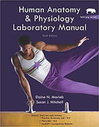 Image of 10th edition: Human Anatomy & Physiology Laboratory Manual, Fetal Pig Version; Marieb, E.N., & Hoehn, K.; 2010; Benjamin Cummings; ISBN: 9780321616135