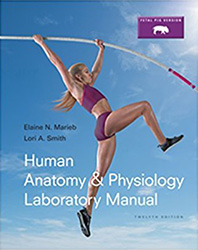 Image of 12th edition: Human Anatomy & Physiology Laboratory Manual, Fetal Pig Version; Marieb, E.N., & Hoehn, K.; 2015; Benjamin Cummings; ISBN: 9780133925593