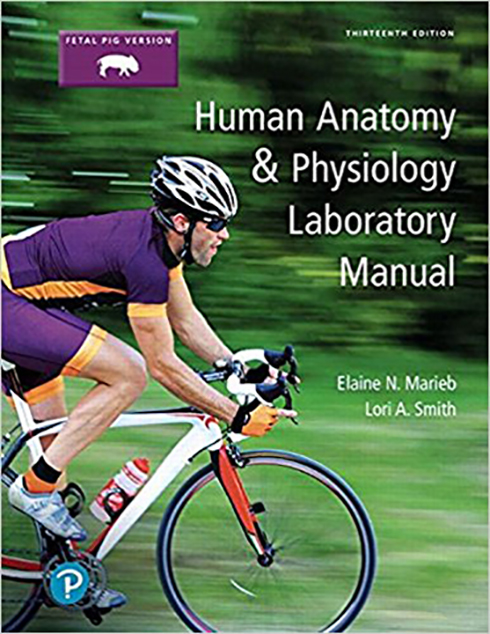 Image of Marieb, E. N., Smith, Lori., 2018, Human Anatomy & Physiology Lab Manual, Pig Version, 13/E, Pearson. ISBN: 9780134806365 