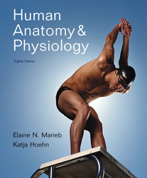 Iamge of 8th edition: Human Anatomy & Physiology; Marieb, E.N., & Hoehn, K.; 2009; Benjamin Cummings; ISBN: 9780805395693